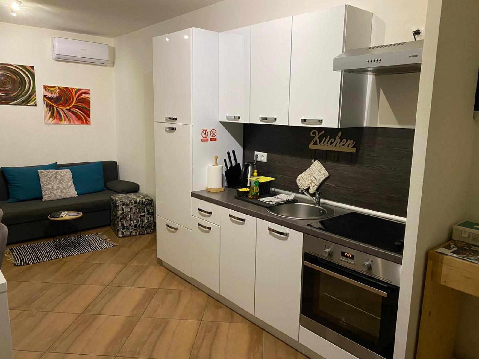 Apartments Escape Drežnik Grad Rom bilde